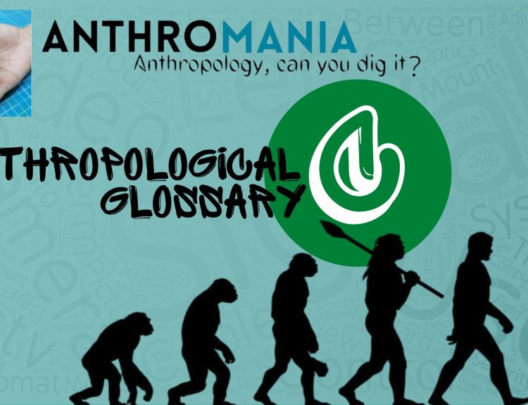 Anthropological Glossary (Letter C)