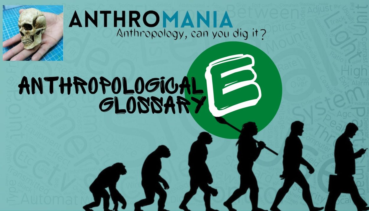 Anthropological Glossary (Letter E)