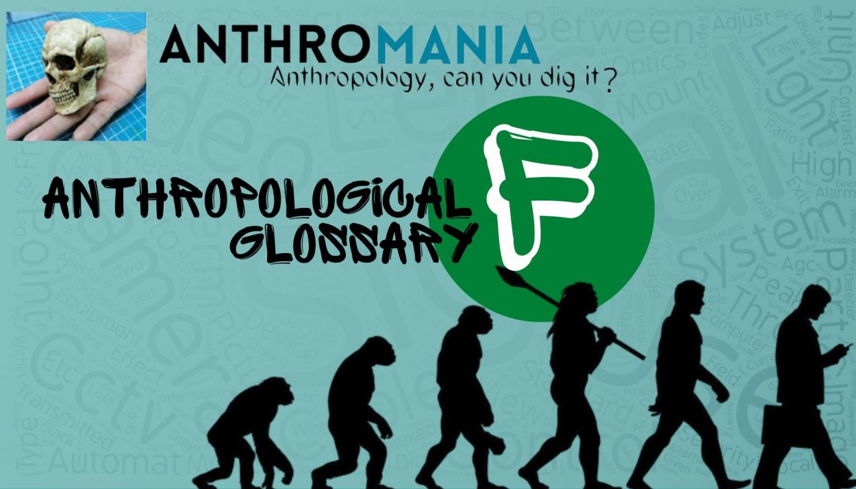 Anthropological Glossary (The Letter F)