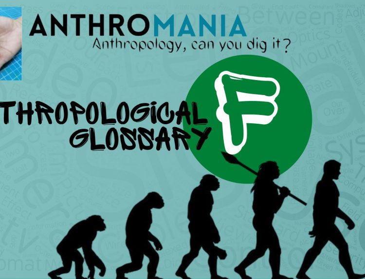 Anthropological Glossary (The Letter F)