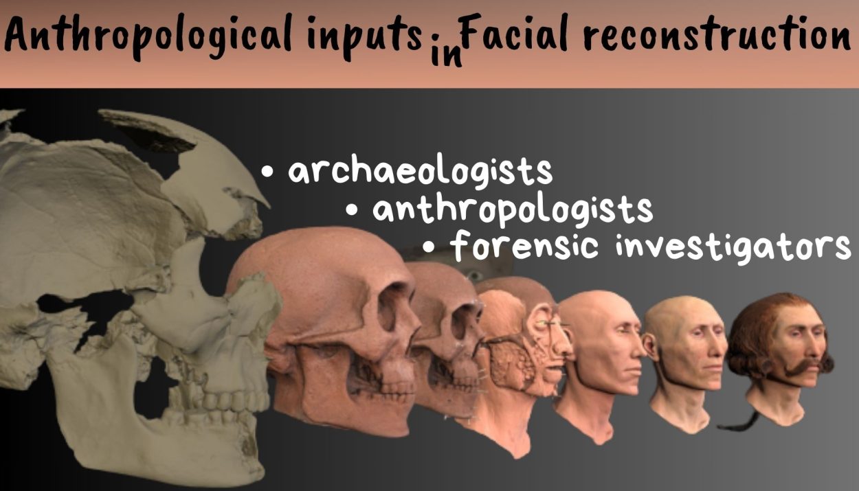 Anthropological Inputs in Facial Reconstruction
