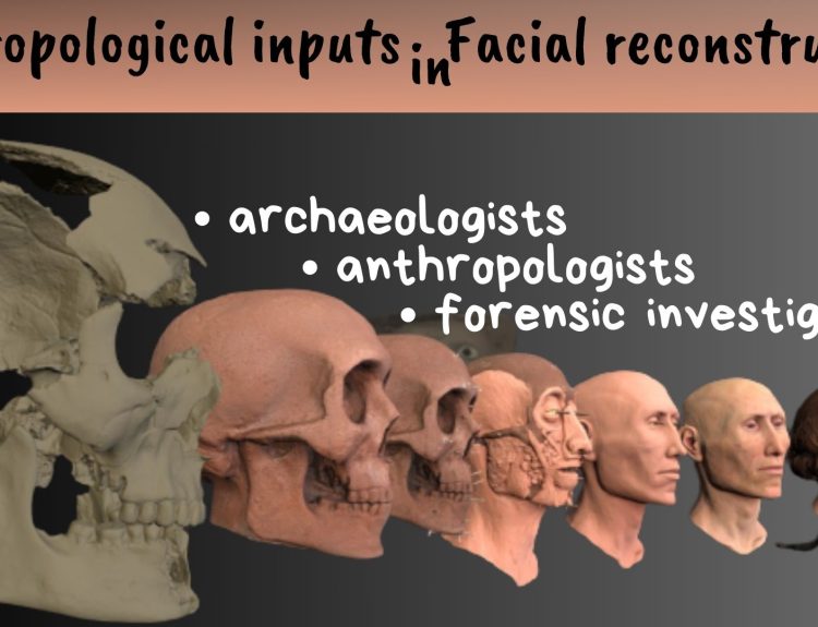 Anthropological Inputs in Facial Reconstruction