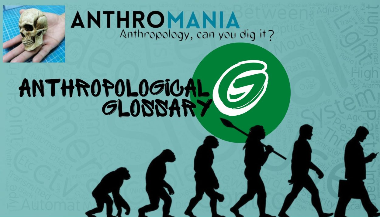 Anthropological Glossary (Letter G)