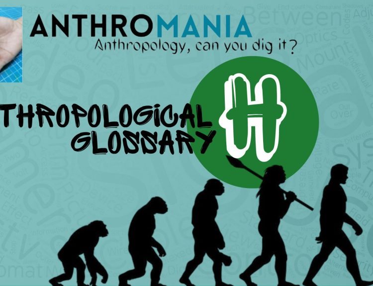 Anthropological Glossary (Letter H)
