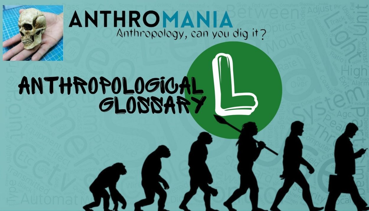 Anthropological Glossary (Letter L)