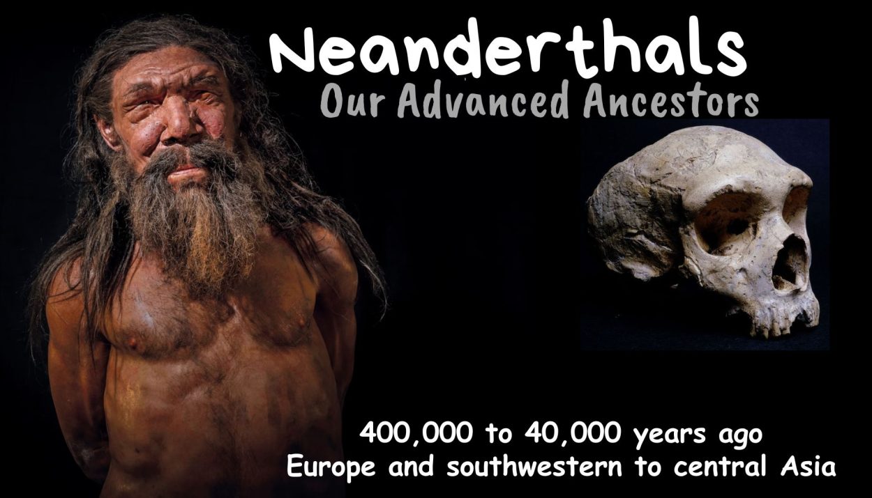 Neanderthals: Our Advanced Ancestors