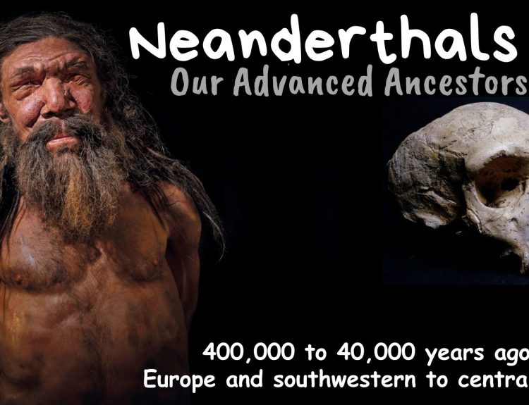 Neanderthals: Our Advanced Ancestors