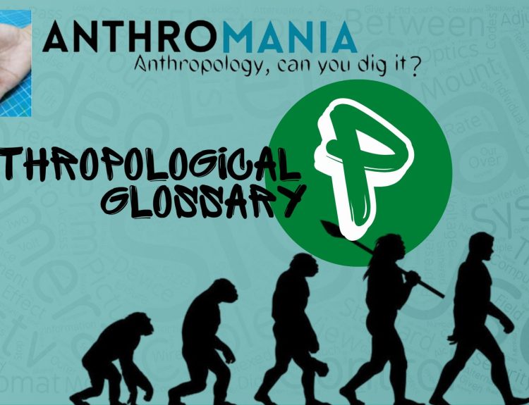 Anthropological Glossary (Letter P)