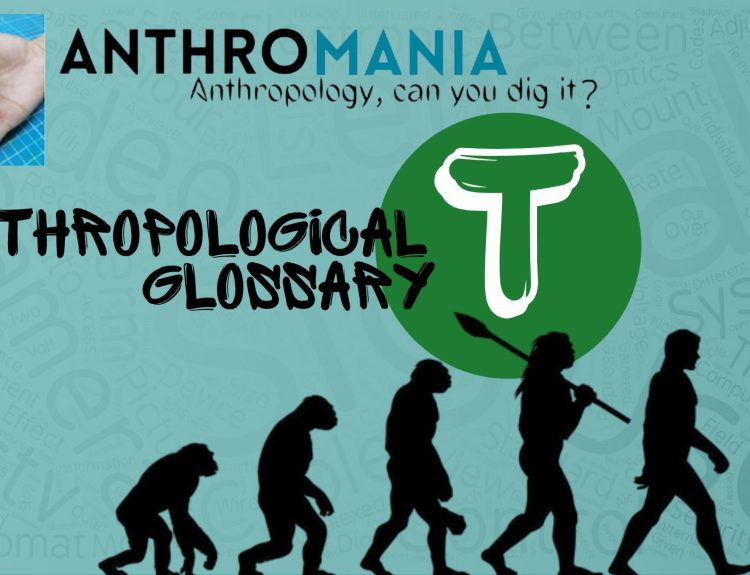 Anthropological Glossary (Letter T)
