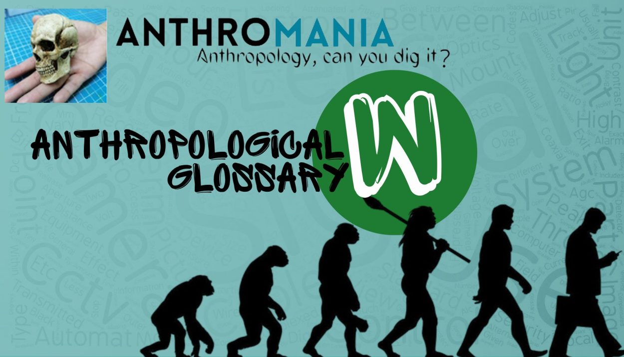 Anthropological Glossary (Letter W)