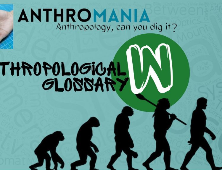 Anthropological Glossary (Letter W)