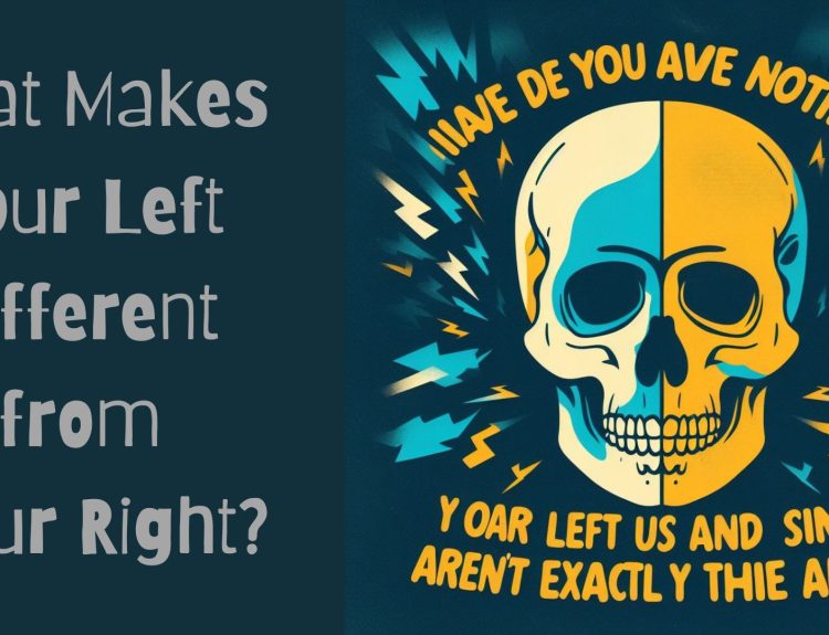 What Makes Your Left Different from Your Right?