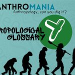 Anthropological Glossary (Letter Y)