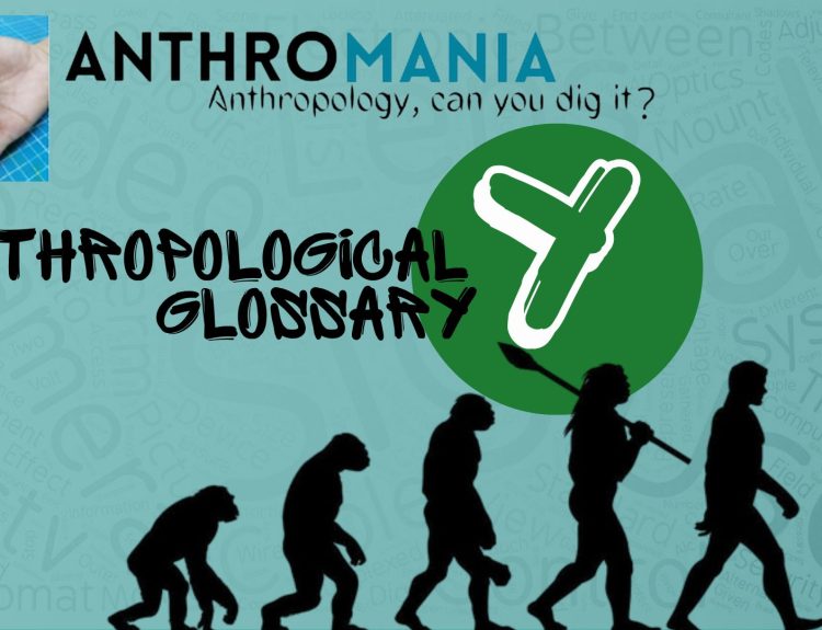 Anthropological Glossary (Letter Y)