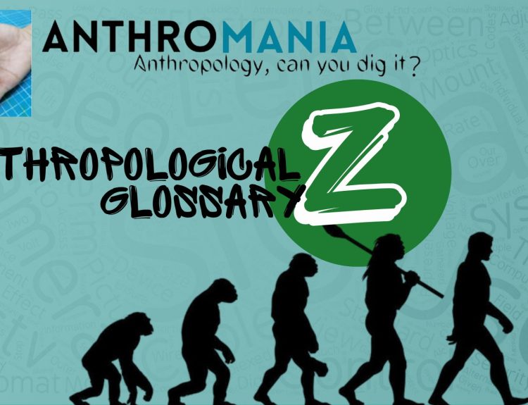 Anthropological Glossary (Letter Z)