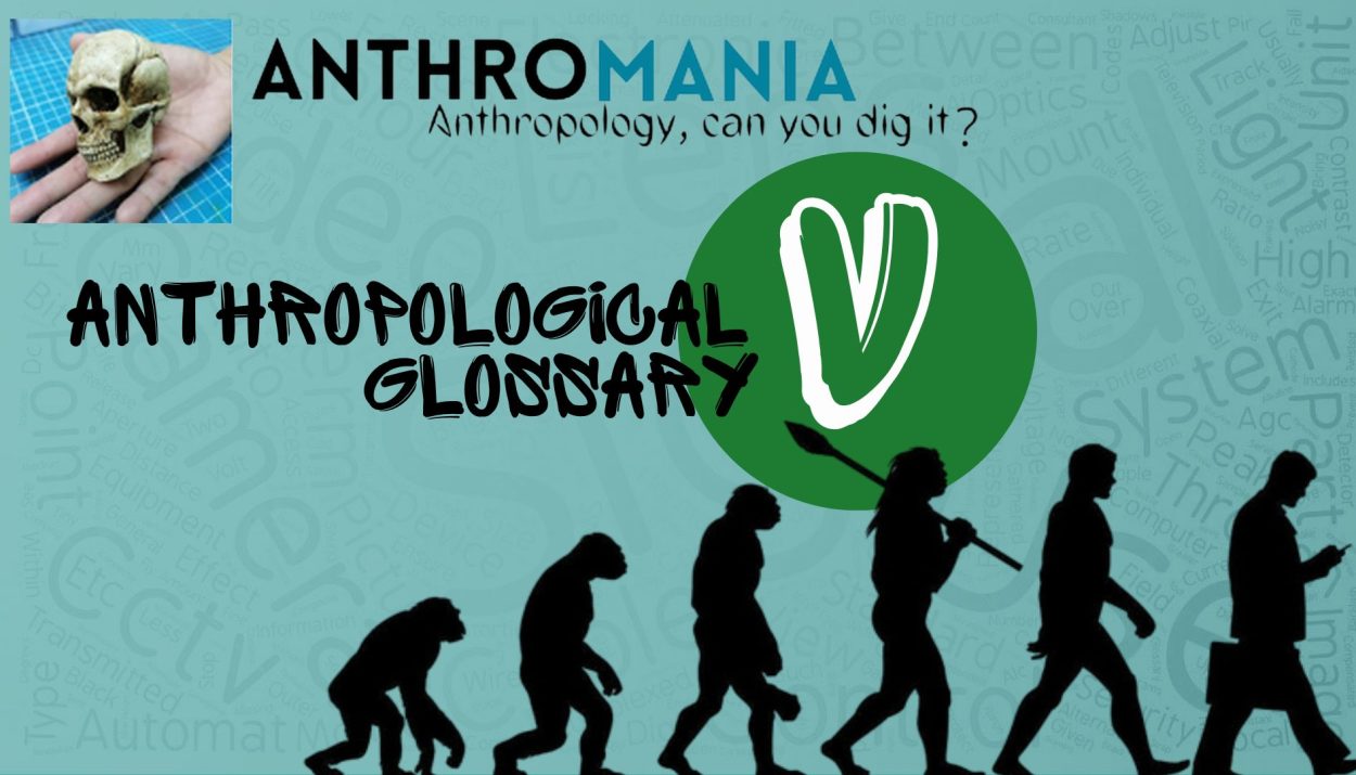 Anthropological Glossary (Letter V)