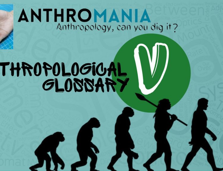 Anthropological Glossary (Letter V)