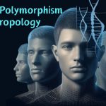 Exploring Genetic Polymorphism: Anthropological Insights into Diversity and Evolution