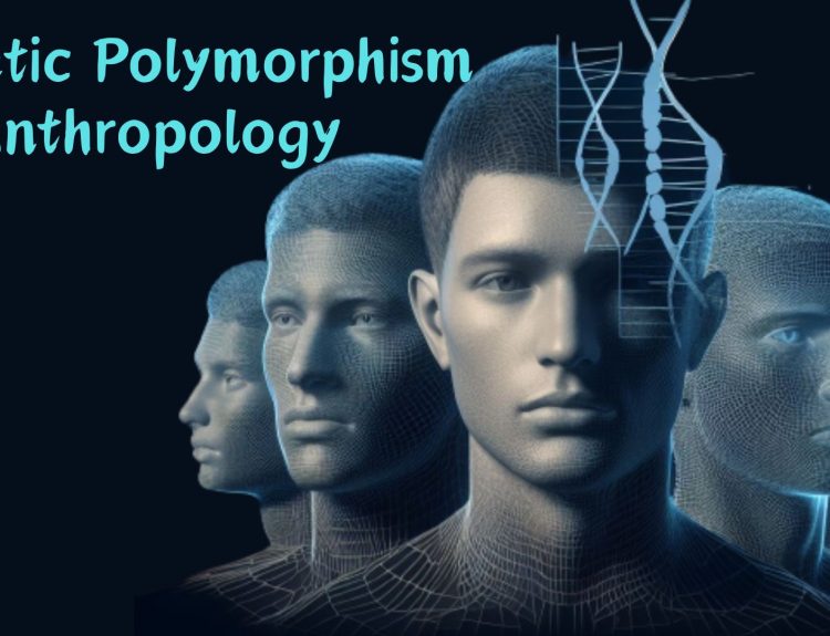 Exploring Genetic Polymorphism: Anthropological Insights into Diversity and Evolution