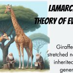 Lamarck's Theory of Evolution