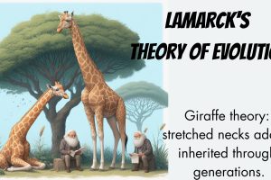 Lamarck's Theory of Evolution