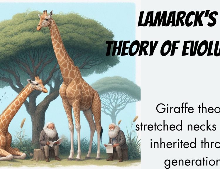 Lamarck's Theory of Evolution
